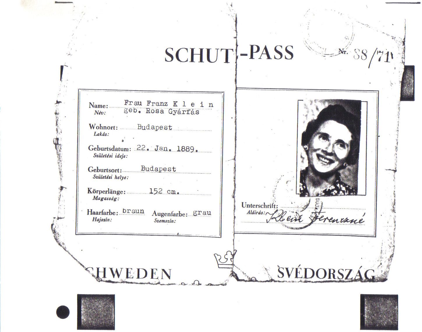 Mother's visa by Wallenberg.jpeg