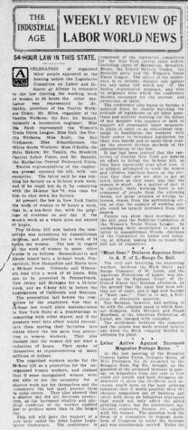 Jackson Law Activity